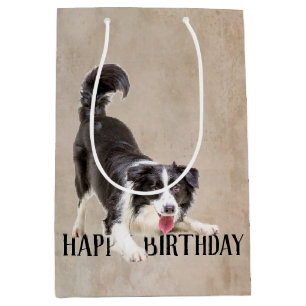 Birthday Border Collie Medium Gift Bag