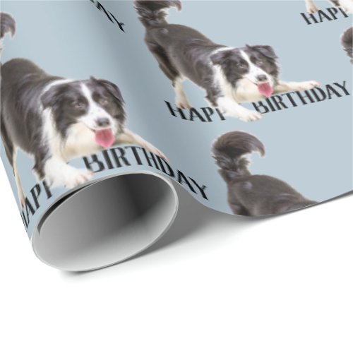 Birthday Border Collie on Blue Wrapping Paper