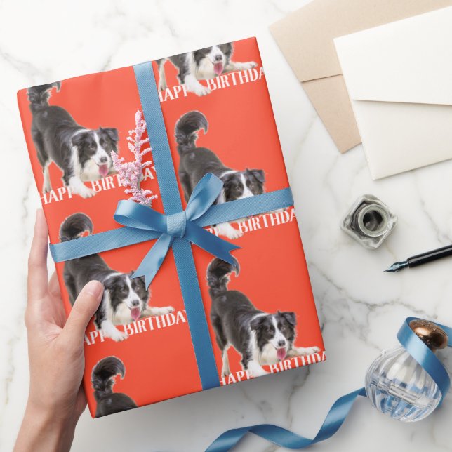Birthday Border Collie on Orange Wrapping Paper (Gifting)