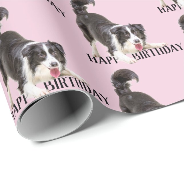Birthday Border Collie on Pink Wrapping Paper (Roll Corner)