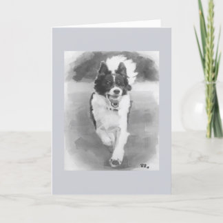 Birthday - Border Collie playing fetch Card