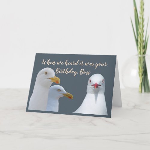 Birthday Boss Humor From all of Us Flock Seagulls Card