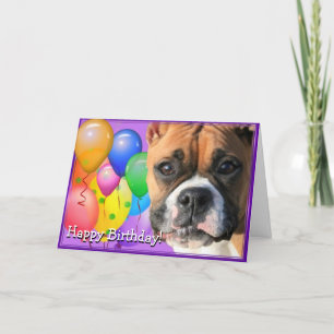 Birthday boxer dog greeting card