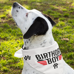 Birthday Boy Black Text Red Stripes Pet Bandana Collar