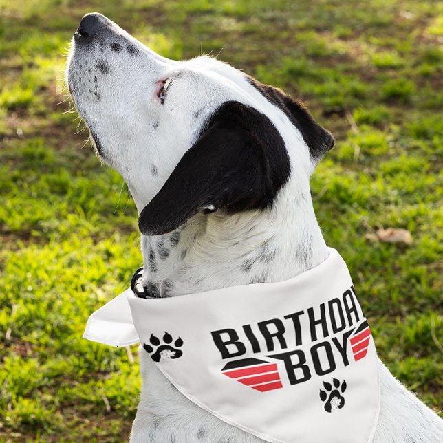 Birthday Boy Black Text Red Stripes Pet Bandana Collar (Creator Uploaded)