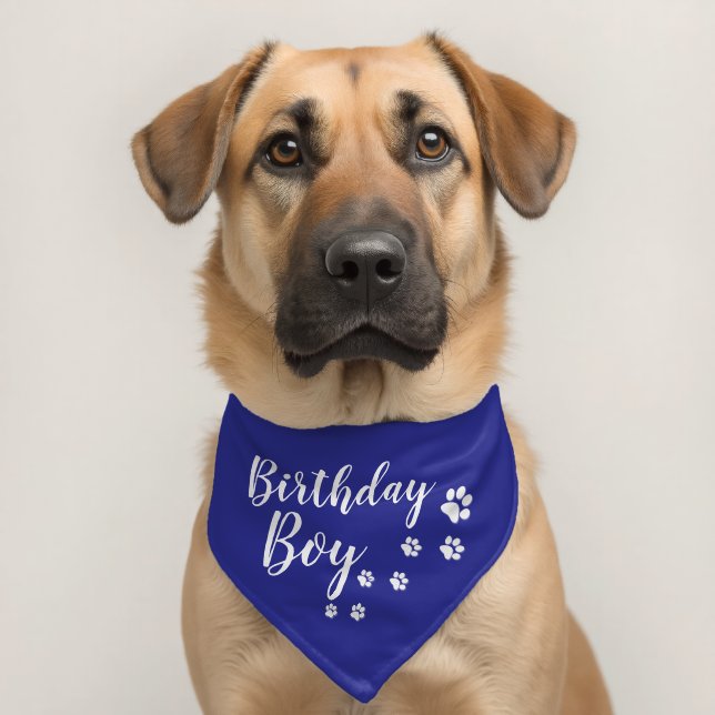 Birthday Boy Dog Collar - Custom Personalized Band (Dog 2)