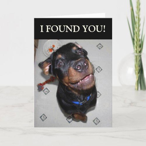 Birthday Boy Funny Rottweiler Card