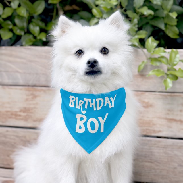 Birthday Boy Pet Bandana Collar (Dog)