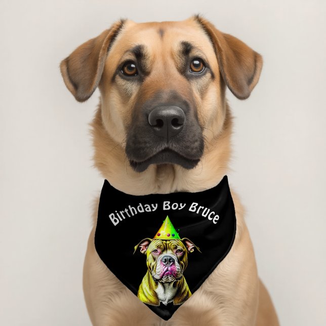 Birthday Boy Pitbull Personalized Pet Bandana Collar (Dog 2)