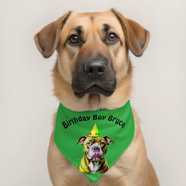 Birthday Boy Pitbull Personalized Pet Bandana Collar (Dog 2)