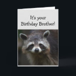 Birthday BROTHER Fun Age Humor Sad Raccoon Humor Card<br><div class="desc">Birthday Blahs for your BROTHER Fun Age You're trash to me  Humorous Raccoon Animal art</div>