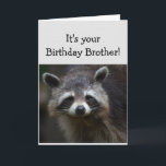 Birthday BROTHER Fun Age Humor Sad Raccoon Humor Card<br><div class="desc">Birthday Blahs for your BROTHER Fun Age You're trash to me  Humorous Raccoon Animal art</div>