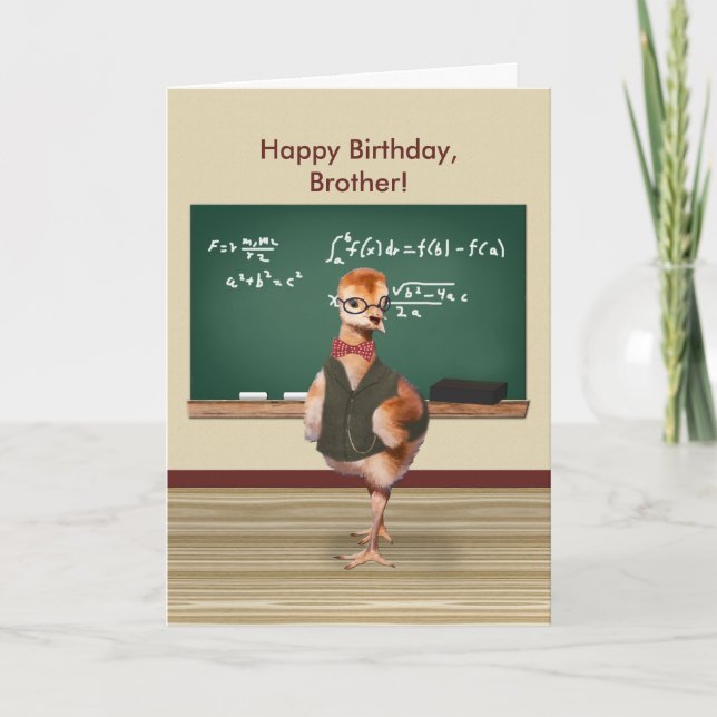 Birthday, Brother, Funny Baby Bird, Customizable Card (Front)