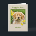 Birthday, Brother, Golden Retriever Dog, Daffodils Card<br><div class="desc">Nothing says "love" more than the big brown eyes of a Golden Retriever pup.  Add a few yellow daffodils and you have a way to wish someone a happy birthday.  Feel free to change the inside verses to suit your needs.</div>