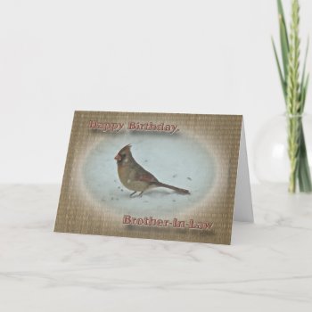 Birthday Brother-in-law Cardinal Female Card by CarolsCamera at Zazzle