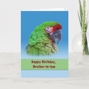 Birthday, Brother-in-law, Green Parrot Card