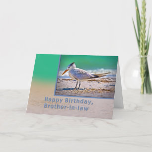 Birthday, Brother-in-law , Royal Tern Bird Card