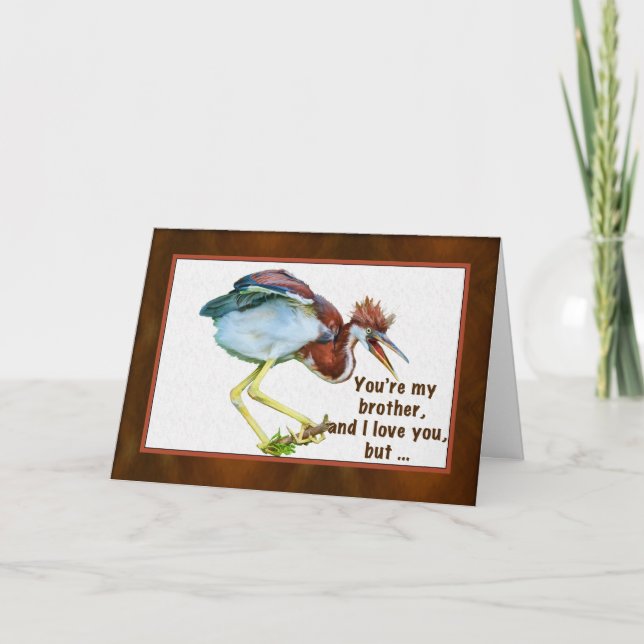 Birthday, Brother, Tricolored Heron, Humor Card (Front)