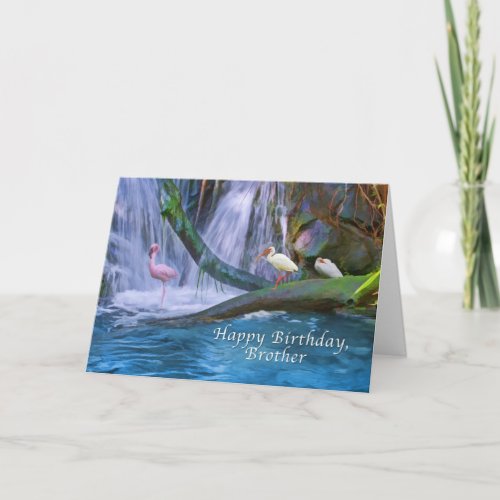 Birthday Brother Tropical Waterfall Birds Card
