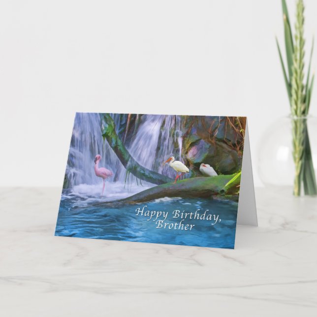 Birthday, Brother, Tropical Waterfall, Birds Card (Front)