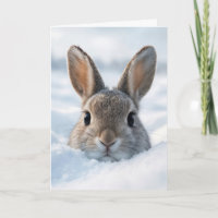 Birthday Bunny In a Deep Snowdrift
