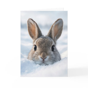 Birthday Bunny In a Deep Snowdrift Card