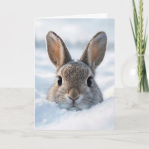 Birthday Bunny In a Deep Snowdrift Card