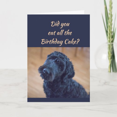 Birthday Cake Humor Cute Black Curly Dog Pet Card