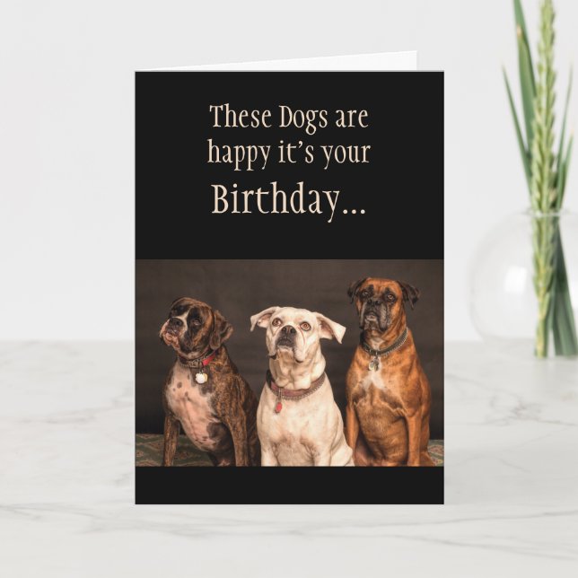 Birthday Cake Humor Hope you Trip Boxer Dogs Funny Card (Front)