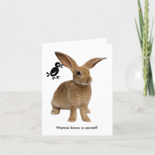 Birthday Card