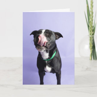 Birthday Card