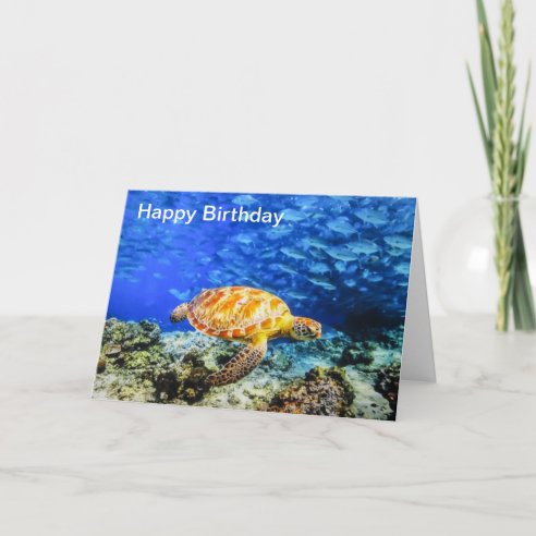 Coral Reef Cards | Zazzle