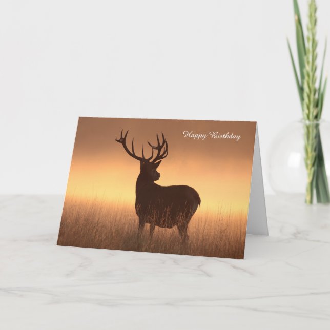 Birthday Card (Front)