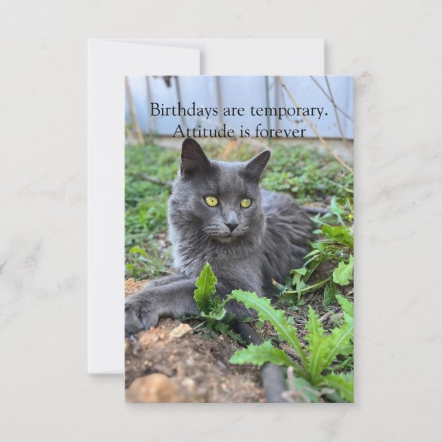 birthday card (Front)