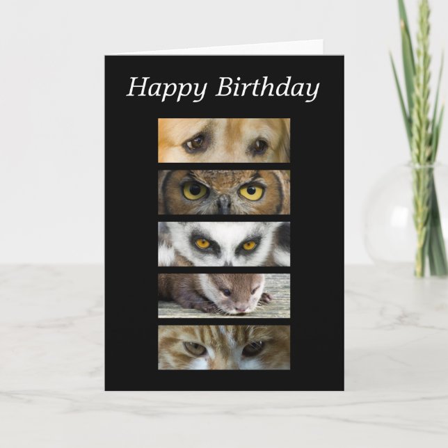 Birthday Card - Animals Eyes (Front)