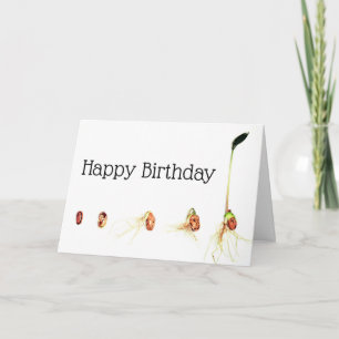 Birthday Card (Assorted styles)