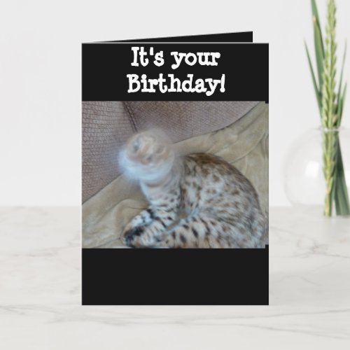 Birthday card _ Bengal cat