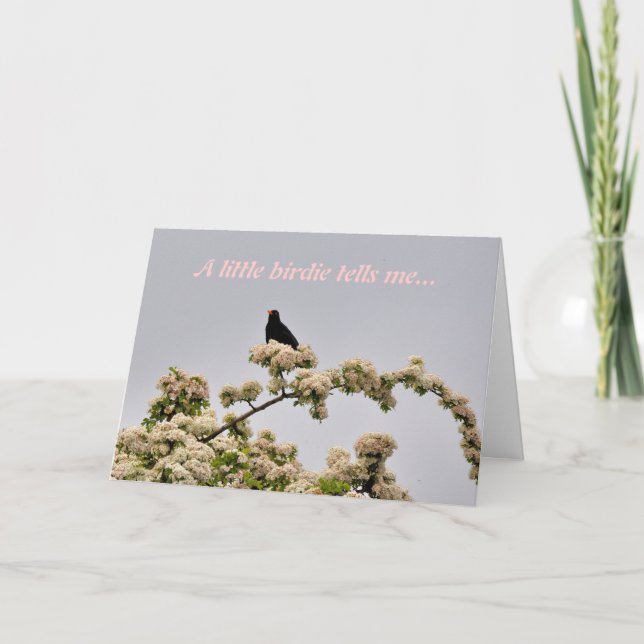 Birthday Card: Blackbird Card (Front)