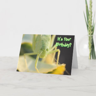 Birthday Card--"Bug You" Funny Birthday Card
