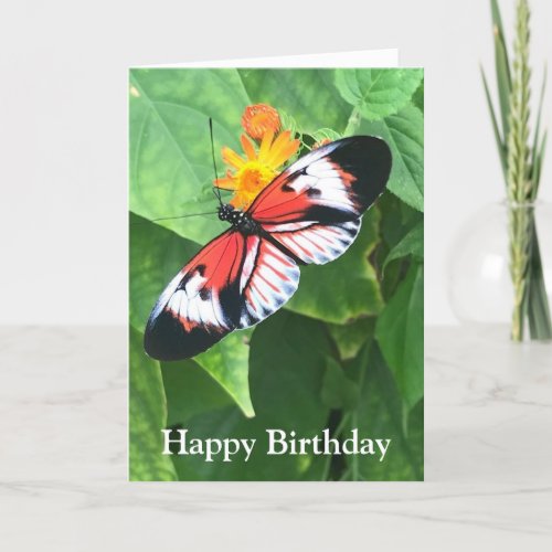 Birthday Card Butterfly with Kafka Quote