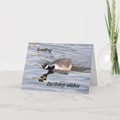 Birthday Card Canada Goose Card