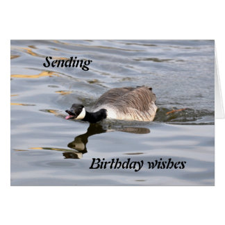 Birthday Canada Goose Cards | Zazzle