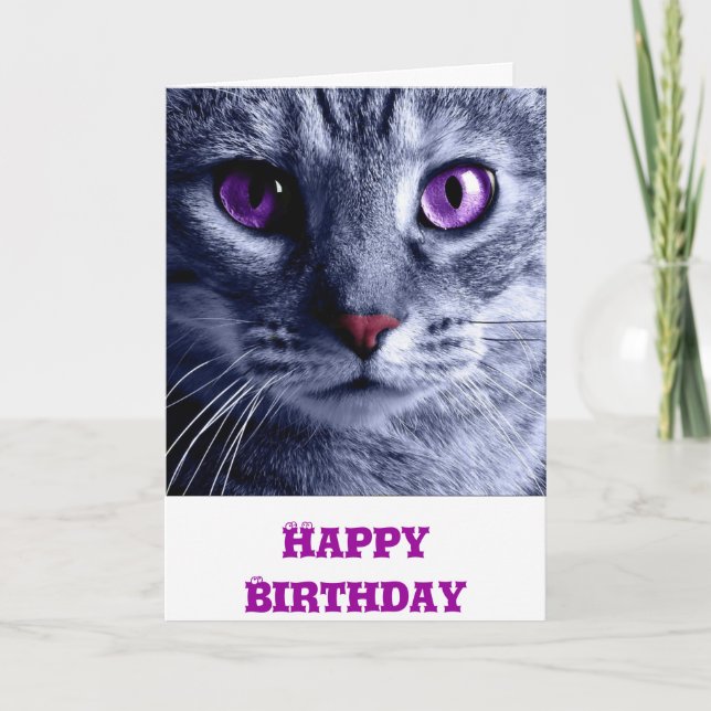Birthday Card: Cat Birthday Card (Front)