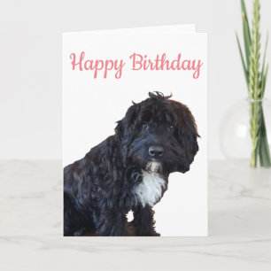 Birthday Card - Cockapoo Puppy Greeting Card