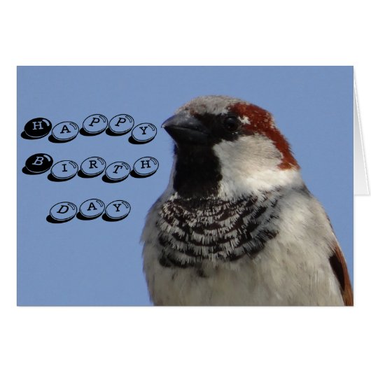 Birthday card cute little bird (Front Horizontal)