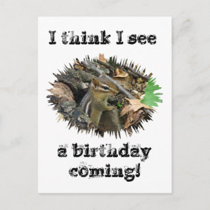 Birthday Card Eastern Chipmunk