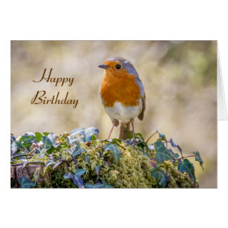 Beautiful Robin Birthday Card - Special Greeting Card For Family, Friends & Bird Lovers