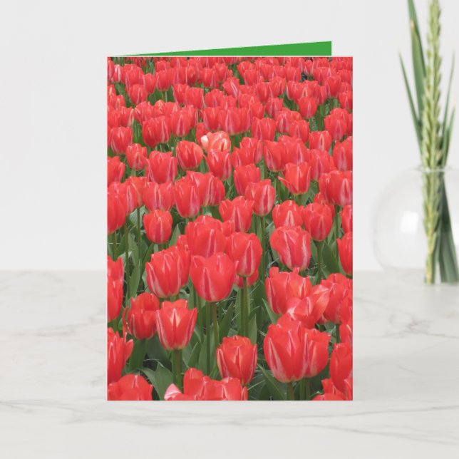 Birthday card featuring tulips (Front)