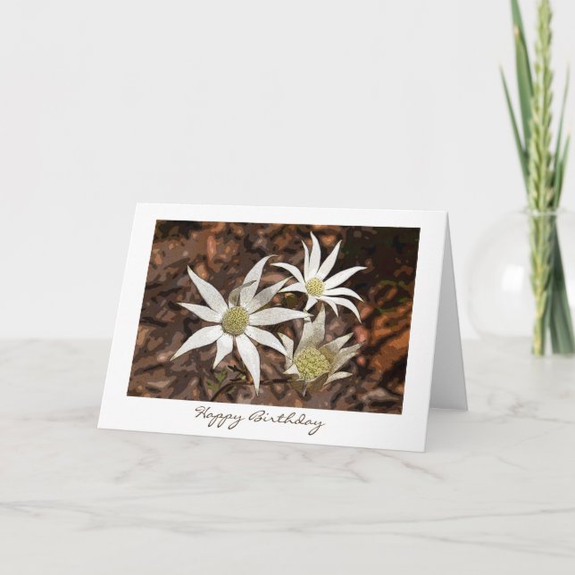 Birthday Card - Flannel Flowers (Front)
