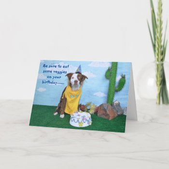 Birthday Card For Anyone by PlaxtonDesigns at Zazzle